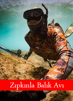Zıpkınla Balık Avı - Serbest Dalış Ekipmanları